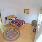 Cuartos En Alquiler En La Condesa